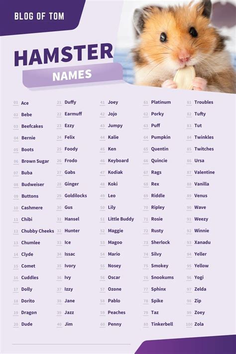 funny hamster names boy|male syrian hamster names.